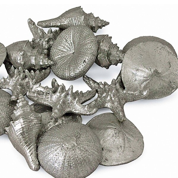 Assorted Mini Seashells Set of 12
